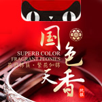 千锤佳艺 天猫旗舰店产品概念效果设计